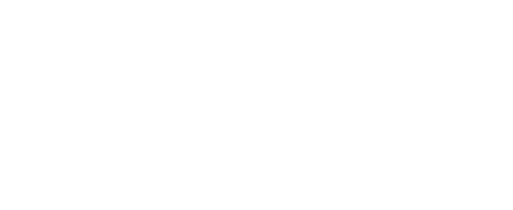 Viseeon - INTERNATIONAL NETWORK OF ACCOUNTING EXPERTS